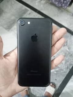 03294634979