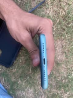 iphone 11  (64 GB)