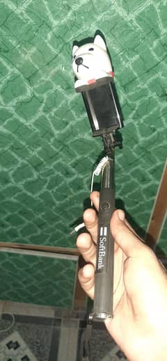 Selfie stick