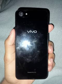 vivo