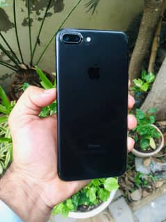 iphone 7 plus