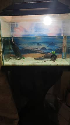Aquarium