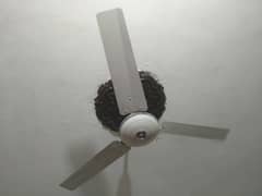 ceiling