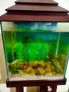 FISH AQUARIUM IN NEW CONDITION!!