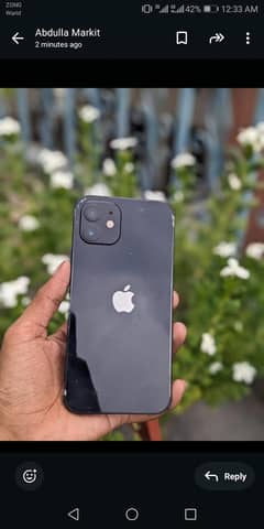iPhone
