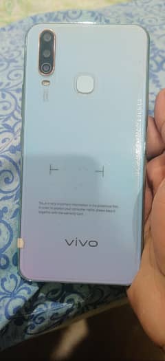 vivo