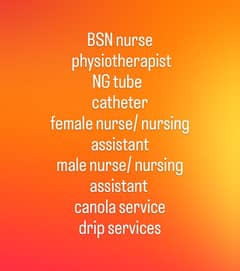 BSN nurse NG tube  canola catheter