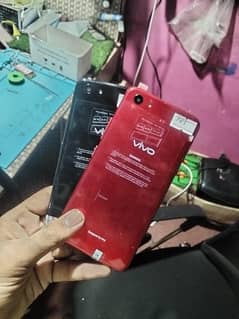 Vivo