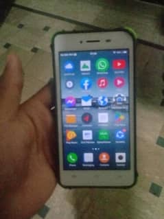 vivo