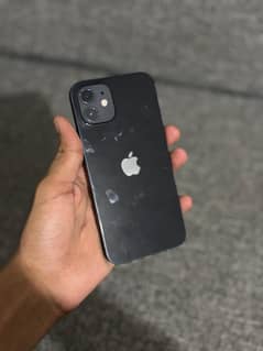 iphone 12 pta approved