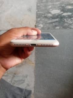 256GB