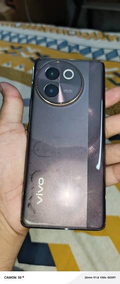 vivo
