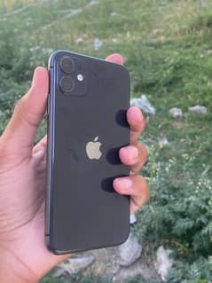 iphone 11 with box