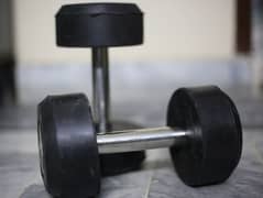 4kg Dumbbells for Home gym