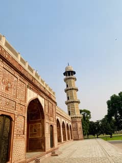 Required female teacher