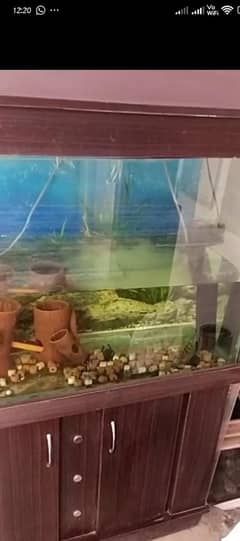Aquarium