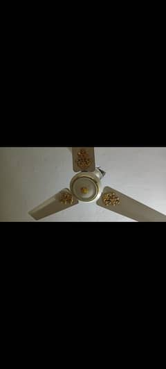 fans super asia