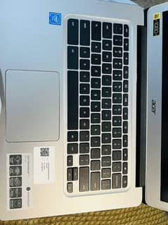 Acer