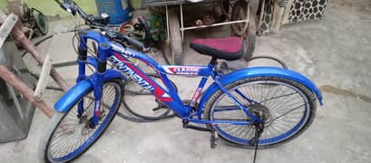 by cycle