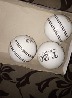 White Cricket ball