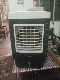 water colour 12 volt