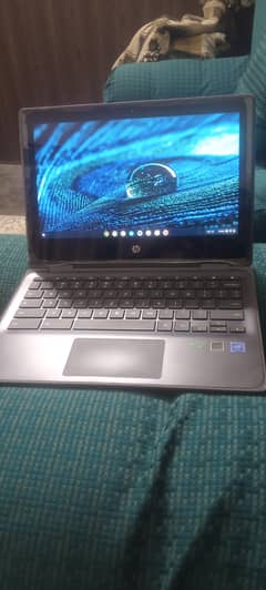 HP
