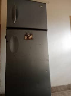 HAIER