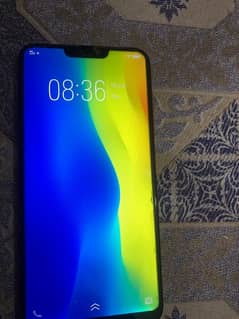 Vivo