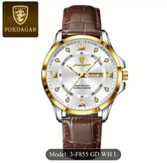 poedagar watch for man