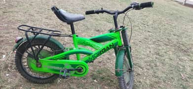 Morgan cycle