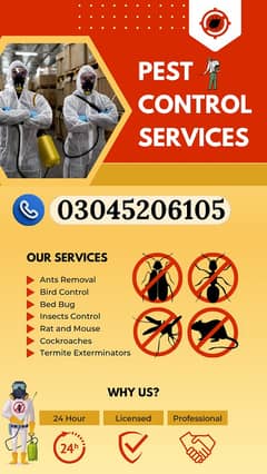 Fumigation Spray Pest Control Services Termite Control Deemak Control