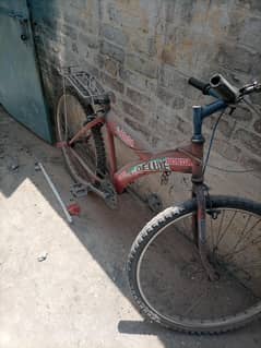 Deluxe Cycle