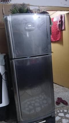refrigerator