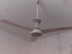 Ceiling
