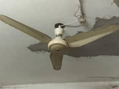 Ceiling