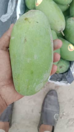 Multani Soghaat