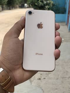 iPhone 8 non pti