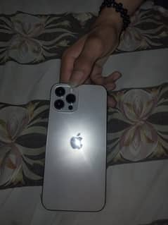 Apple 12 pro max