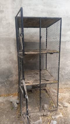Hens Cage