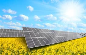 Jinko solar Longi solar Canadian solar J. A solar Trina solar
