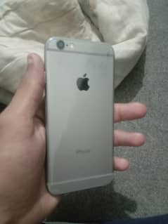 iphone 6