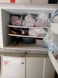 pel refrigerator
