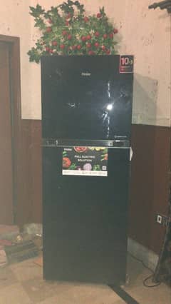 haier refrigerator