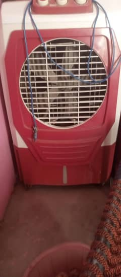 Electric Cooler for sales in DGK