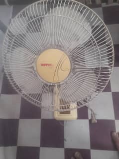 royal fan bilku ok