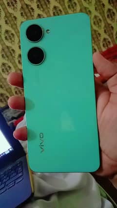 vivo