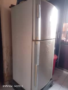 dawnlance refrigerator