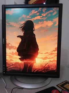 Dell 1905FP – 75Hz Gaming/Office Monitor