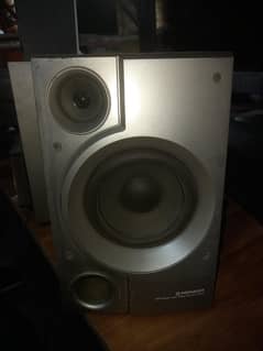 pioneer