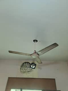 urgent sell 2 fans